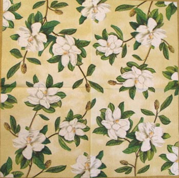 En servett, magnolior