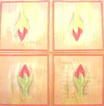 En servett, amaryllis