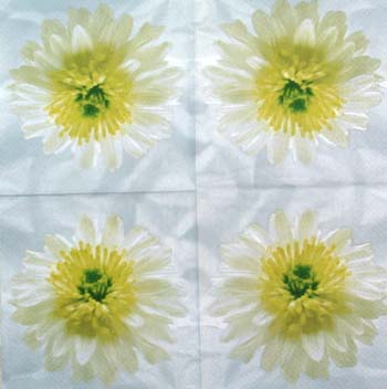 Lautasliina, gerbera