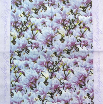 En servett, magnolior