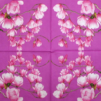 Lautasliina, magnolia