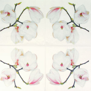 Lautasliina, magnolia