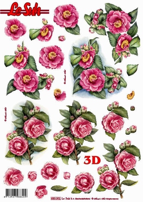 3D-arkki, kukat