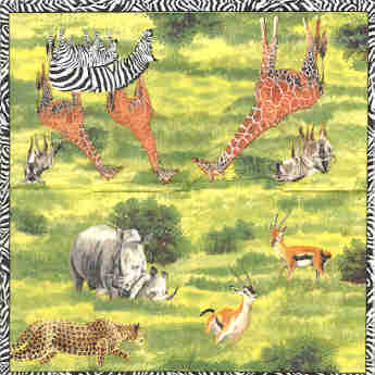 Nenäliina, safari