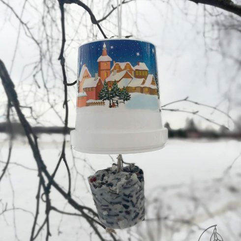 kuviokalvo linnunruokinta sininen maisema