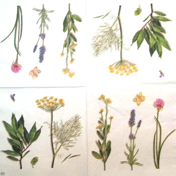 En servett, blommor