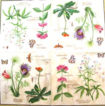 En servett, blommor