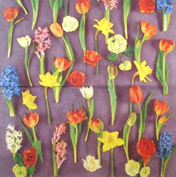 En servett, blommor