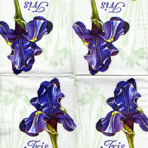 Kahviliina, iiris