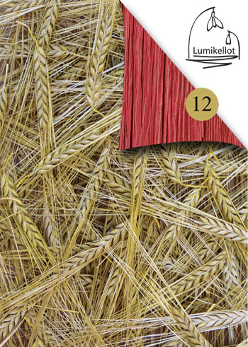 PELLOLTA KOTIIN - paperipaketti