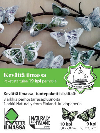 Koruperhonen (19kpl) "Isomittari & Koivumittari"