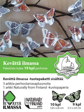 Koruperhonen (19kpl) "Loistokultasiipi & Tesmaperhonen"