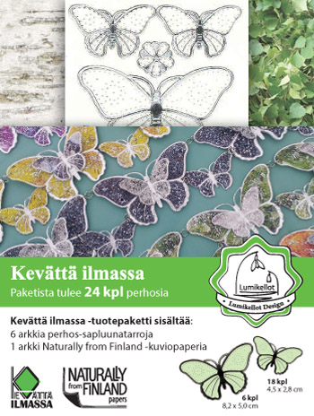 ISO Koruperhonen (24kpl) "Koivumittari & Isomittari"