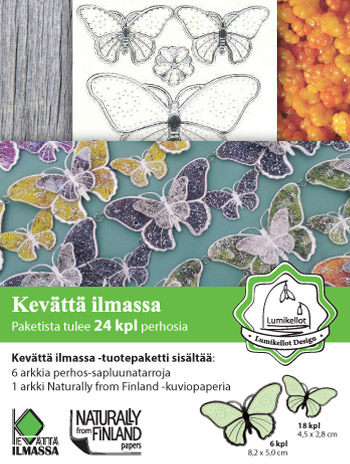ISO Koruperhonen (24kpl) "Loistokultasiipi & Tesmaperhonen"
