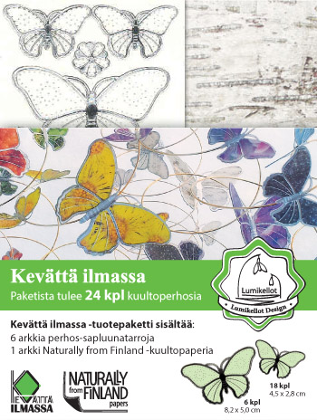 ISO Kuultoperhonen (24kpl) Koivumittari