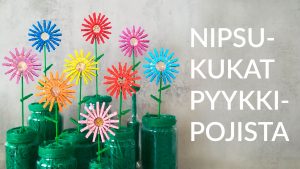 THUMBNAIL nipsukukat