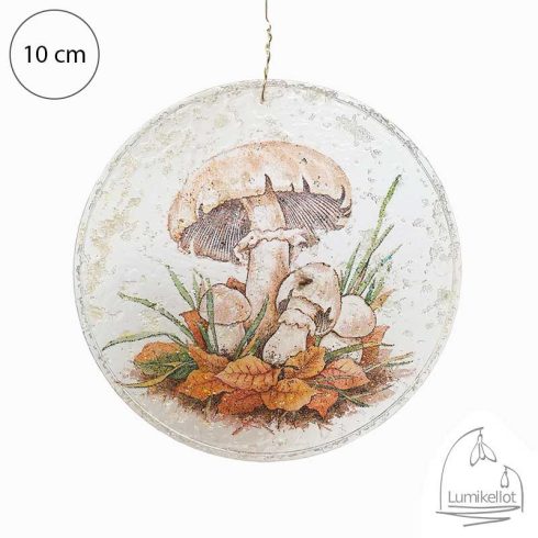 akryylilevy pyorea 10 sieni 4 800x800 1