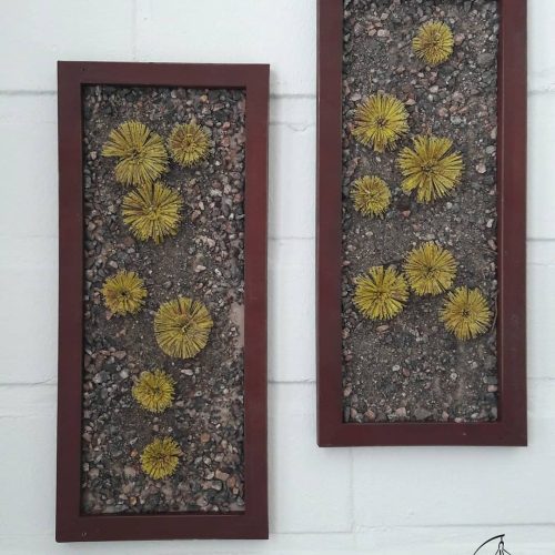 Lumikellot Design – DIY-paketti minipuutarha - Image 2
