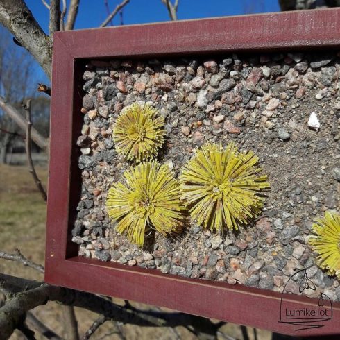 diy minigarden03