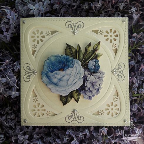 hortensia