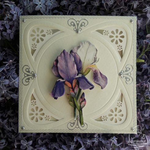iiris