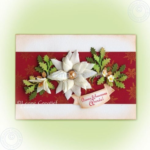 joulutahti valkoinen poinsettia