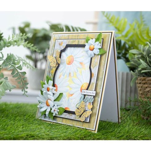 Delightful Daisies4