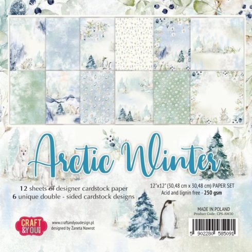 Craft & You Design – Arctic Winter paperilajitelma 30,5 x 30,5 cm