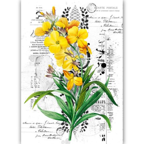 Dress My Craft Transfer Me – BRIGHT DAY vesisiirtokuva A4
