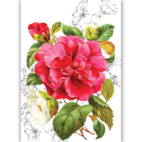 Dress My Craft Transfer Me – PINK BLOSSOM siirtokuva A4