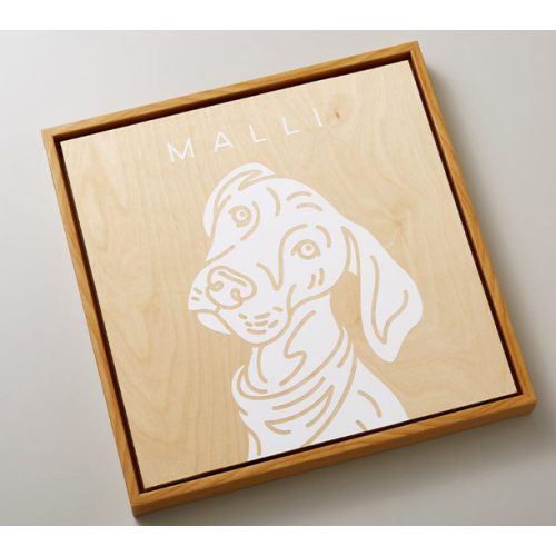Cricut Smart Vinyl Removable 13" 3,6 m valkoinen vinyyli - Bild 3