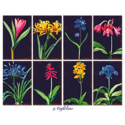 Decorer – Nighttime korttikuvat 7 x 10,8 cm (24 kpl)