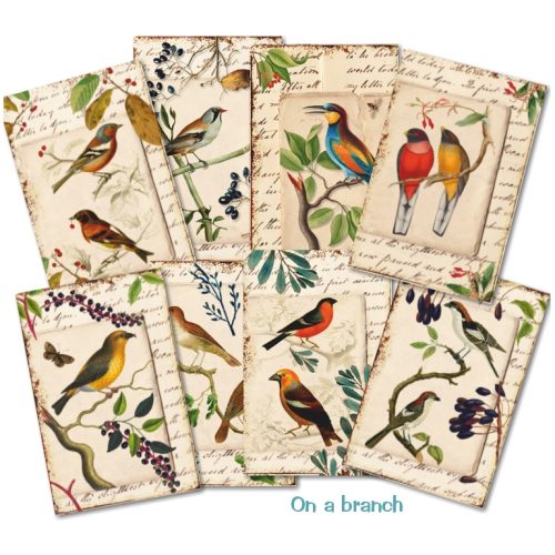 Decorer – On a Branch korttikuvat 7 x 10,8 cm (24 kpl) - Image 3