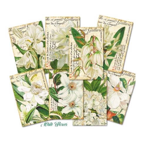 Decorer – White Flower korttikuvat1