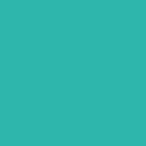 2007182 joy smart vinyl removable sampler mint swatch