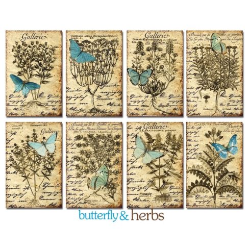 Decorer – Butterly & Herbs korttikuvat 7 x 10,8 cm (24 kpl)