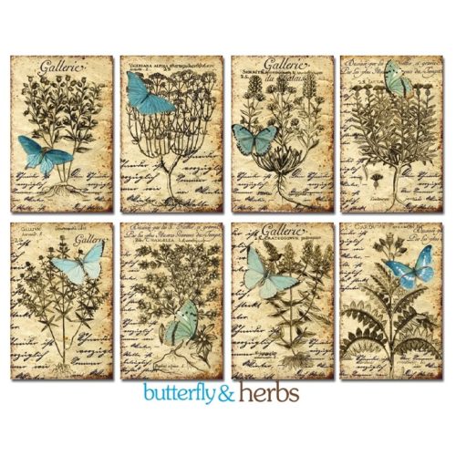 Decorer – Butterly & Herbs korttikuvat 7 x 10,8 cm (24 kpl)