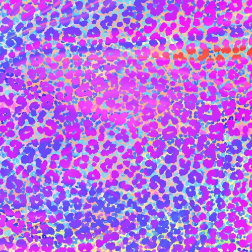 Crafter’s Companion Neon Dreams – kartonkilajitelma 15 x 15 cm - Image 8