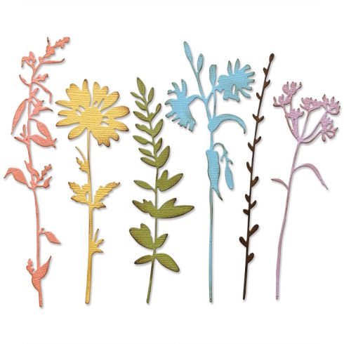 Sizzix Thinlits stanssi – VAULT WILDFLOWERS1