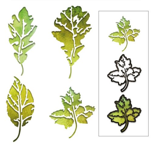 Sizzix Tim Holtz Thinlits stanssi – LEAF PRINT - Image 5