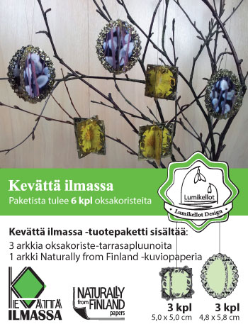 Kevättä ilmassa Oksakoristeet Pajunkissa & Leskenlehti (6kpl)