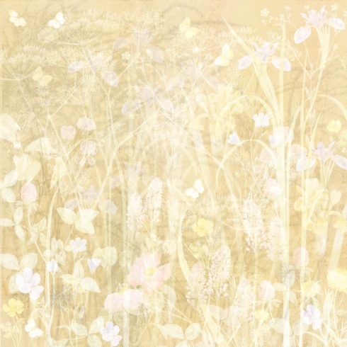 Crafters Companion – Meadow Garden paperilehtio 30 x 30 cm 14
