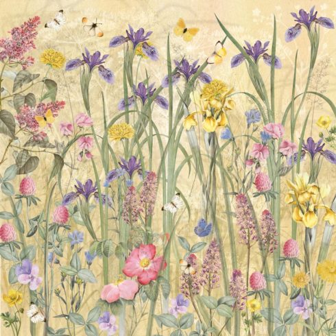 Crafters Companion – Meadow Garden paperilehtio 30 x 30 cm 3