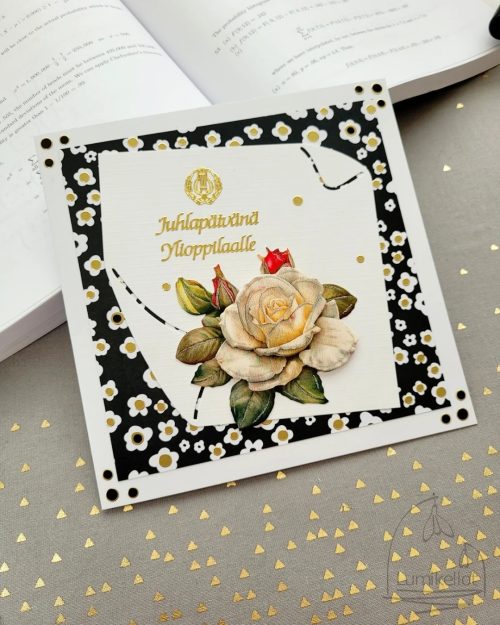 Korttipaketti Ylioppilas ja valmistunut - Image 3