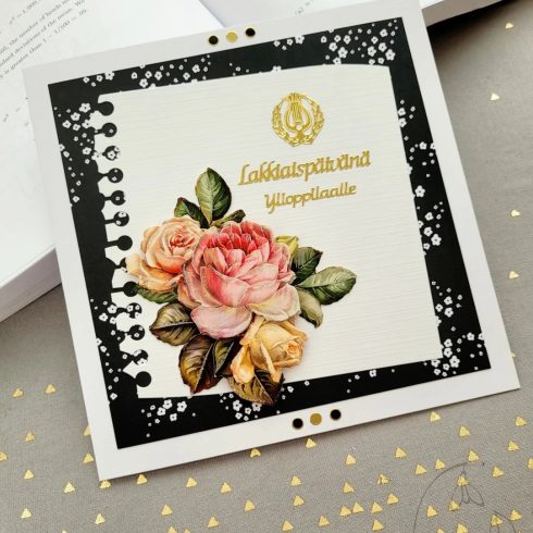 Ylioppilaskortti korttipaketti 15