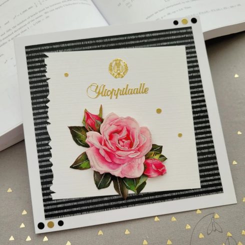 Ylioppilaskortti korttipaketti 19