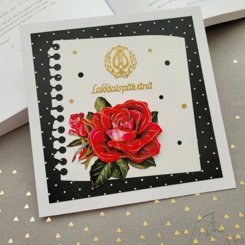 Ylioppilaskortti korttipaketti 20
