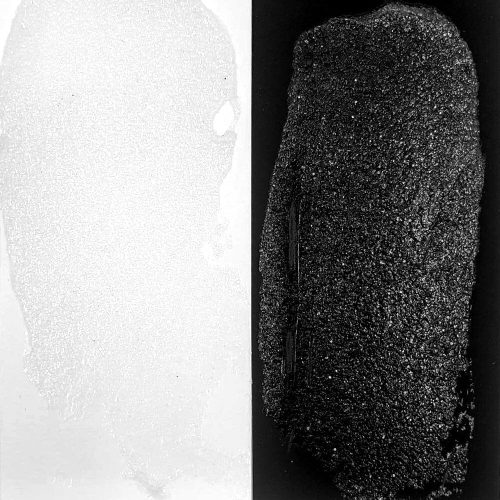 Ranger Simon Hurley Astro Paste Frostbite – Kimallepasta 59ml - Image 2