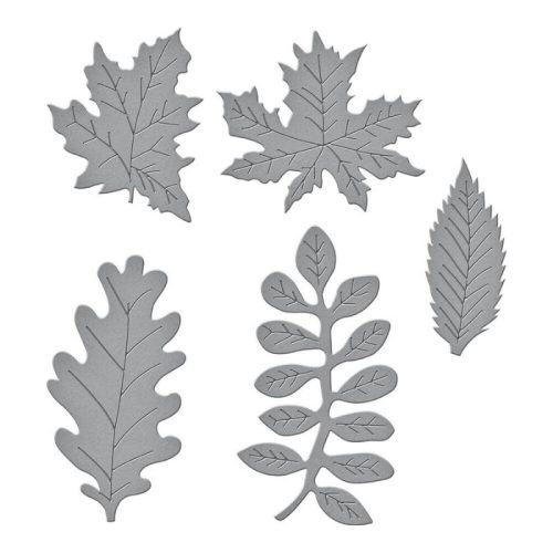 Spellbinders stanssi – AUTUMN FOLIAGE - Image 3