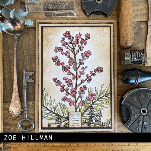 Tim Holtz Stampers Anonymous – Forest Floor 2 leimasinsetti - Bild 11